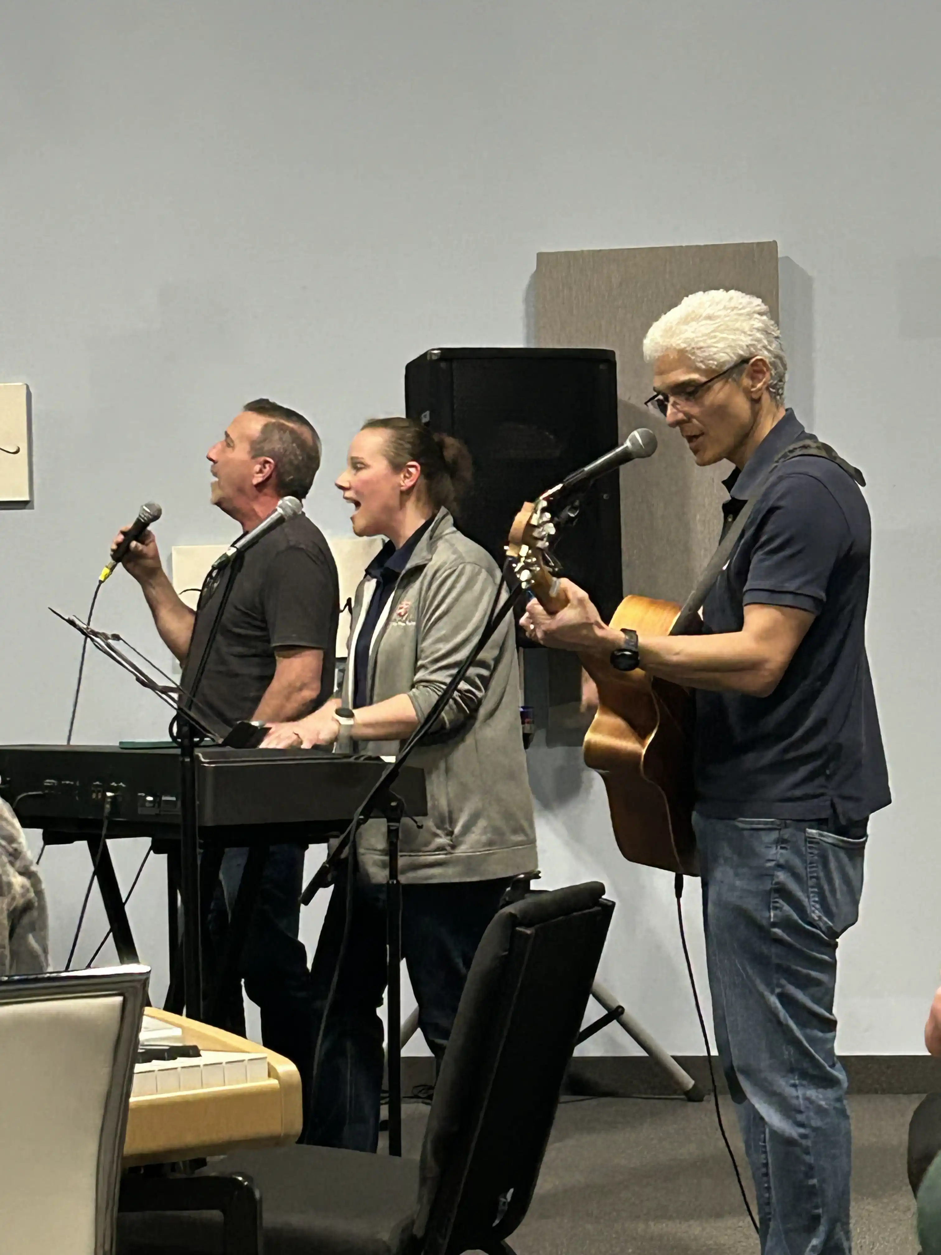 Musicians sing and play instruments